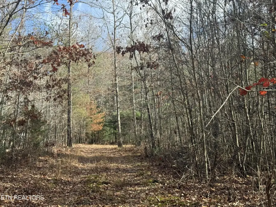 0 10.77 Acres - Valerie Drive, Deer Lodge, TN 37726 - Image #3