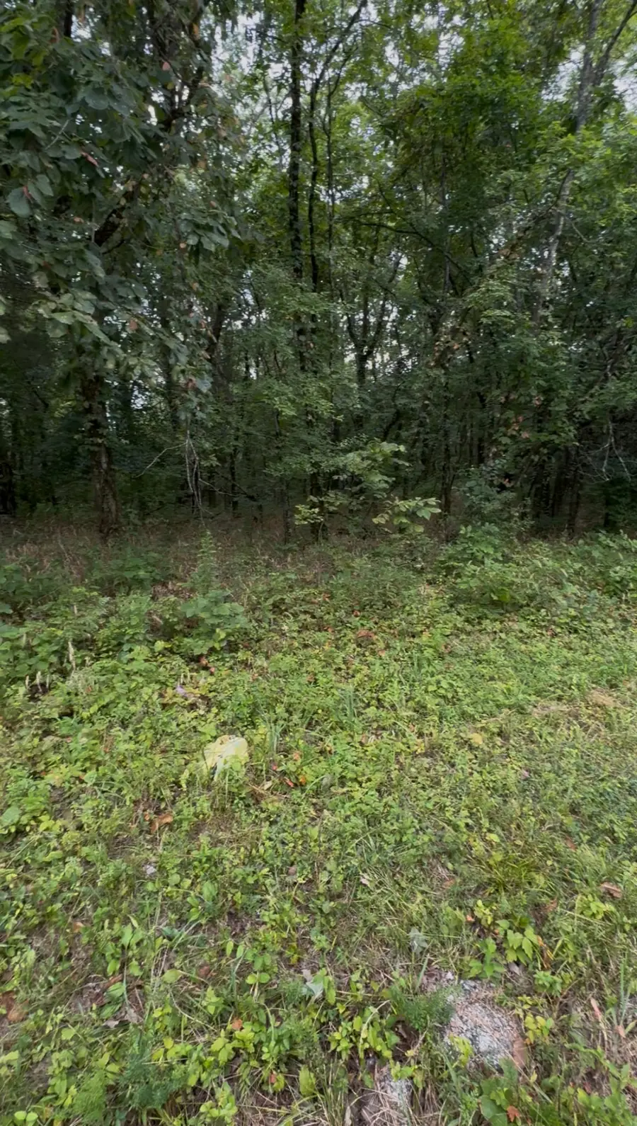 #3