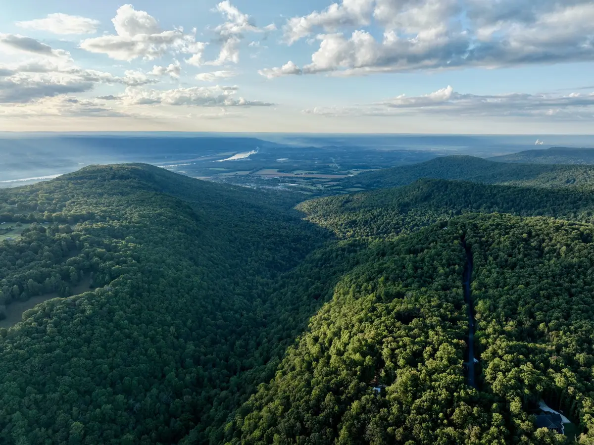 1 Three Forks Rd, South Pittsburg, TN 37380 - Image #1