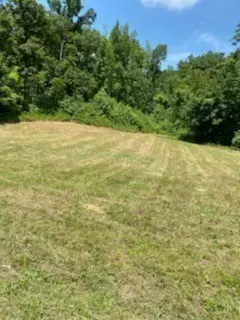 0 Love Branch Road, Hampshire, TN 38461 - Image #2