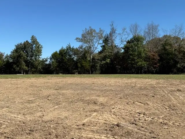 #3