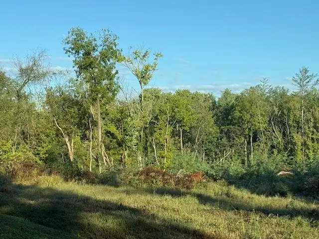 #3