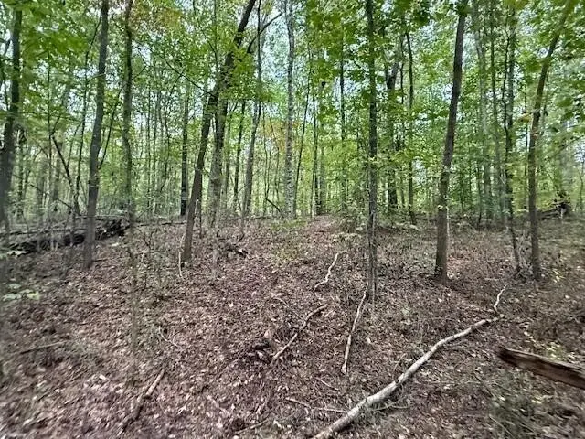 4 Tipple Road, Tracy City, TN 37387 - Image #2