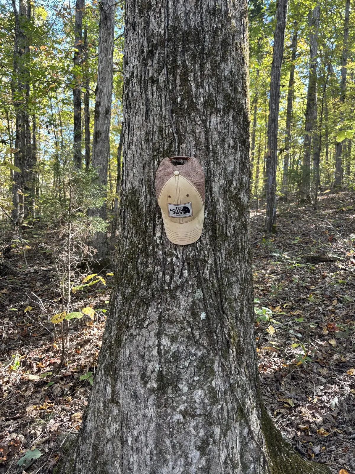 #1