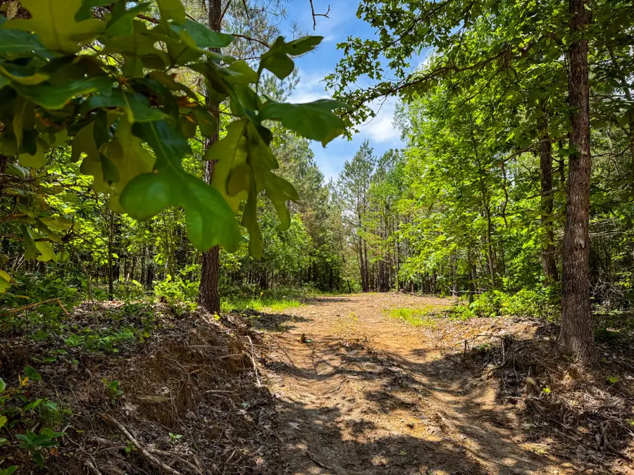 0 Old Mail Road, Duck River, TN 38454 - Image #3
