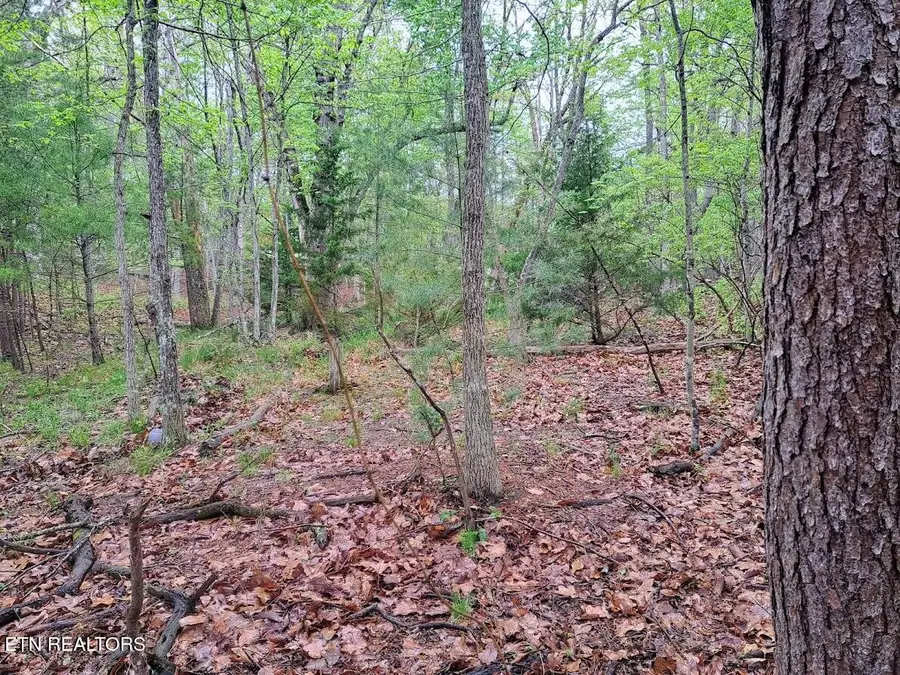 109 Laurelton Lane, Crossville, TN 38558 - Image #3