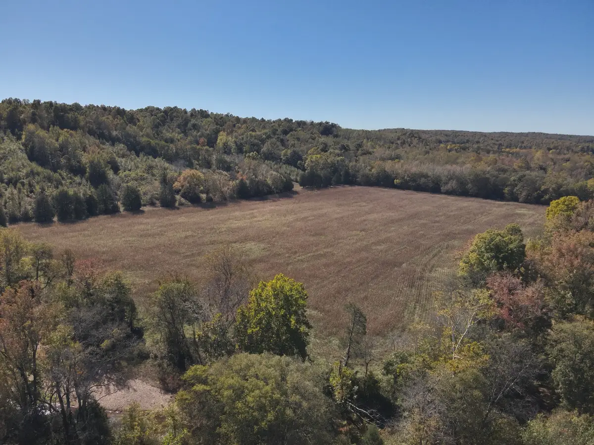 6081 Highway 438 W, Linden, TN 37096 - Image #1