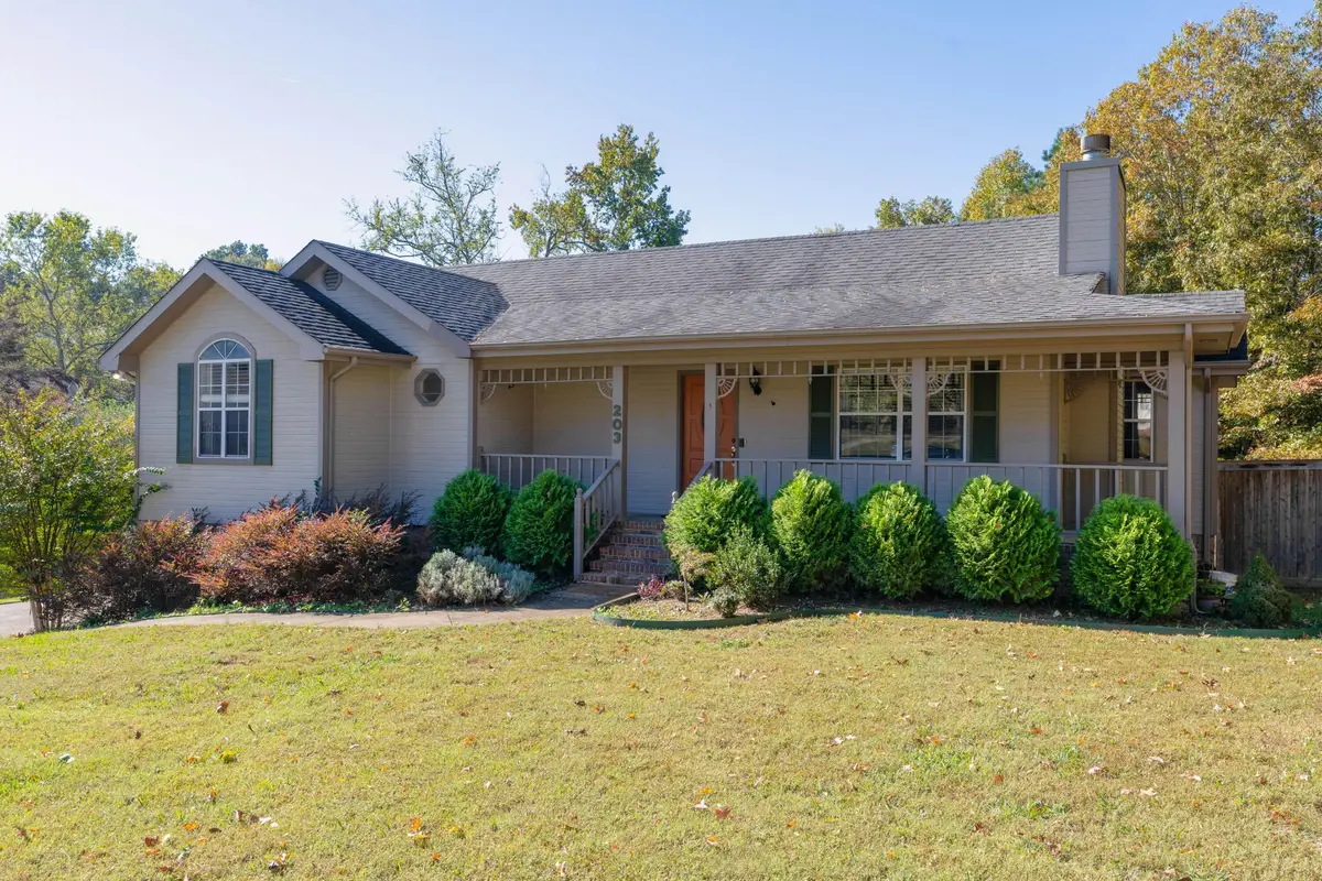 203 Spring Valley Lane, Ringgold, GA 30736 - Image #1
