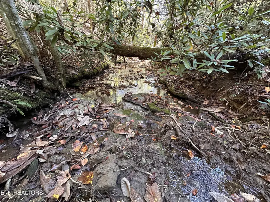 186 Cave Branch Rd, Allardt, TN 38504 - Image #3