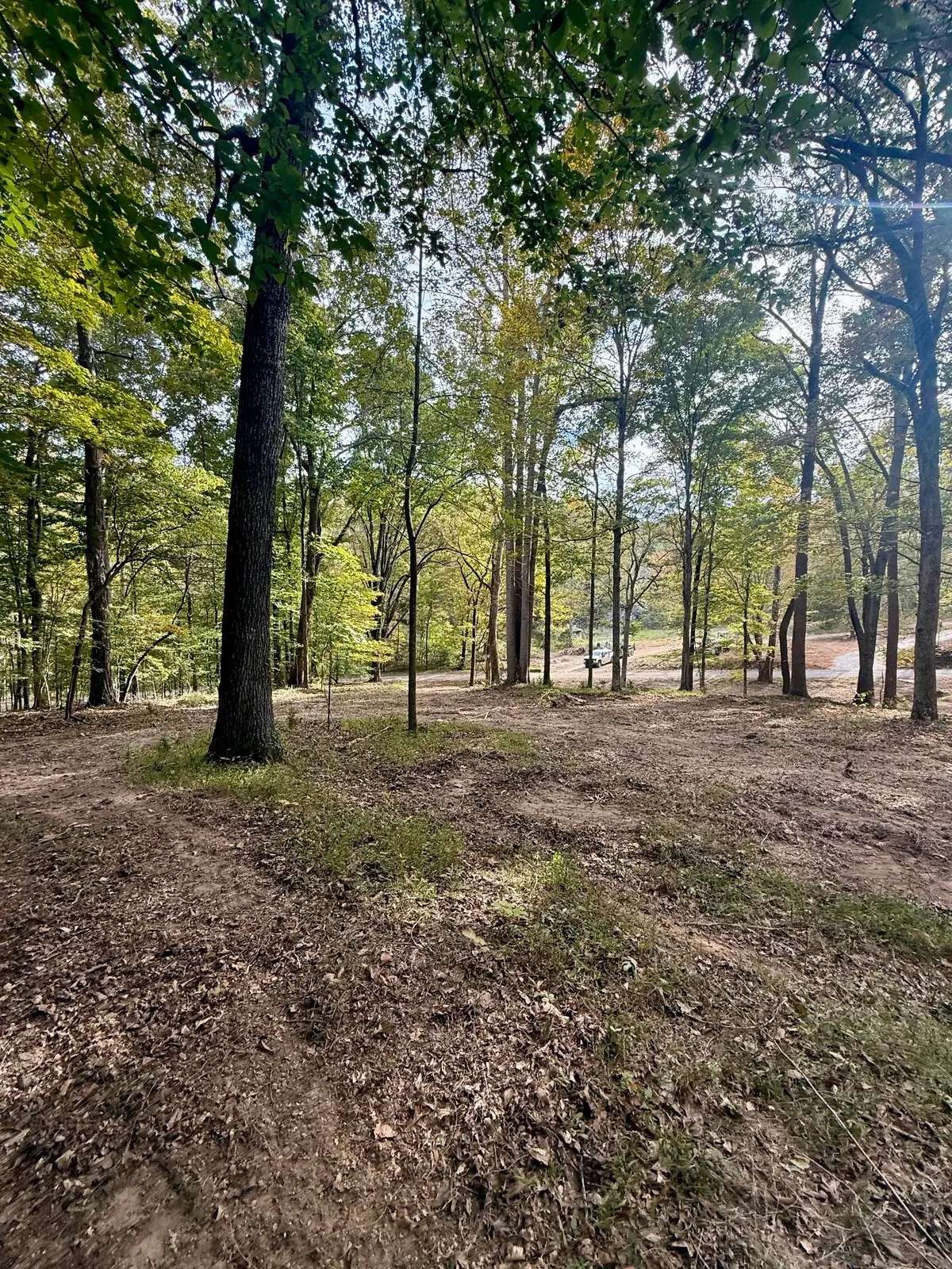 899 Little Leatherwood Rd, Vanleer, TN 37181 - Image #1