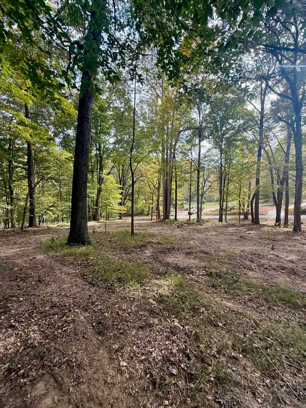 899 Little Leatherwood Rd, Vanleer, TN 37181