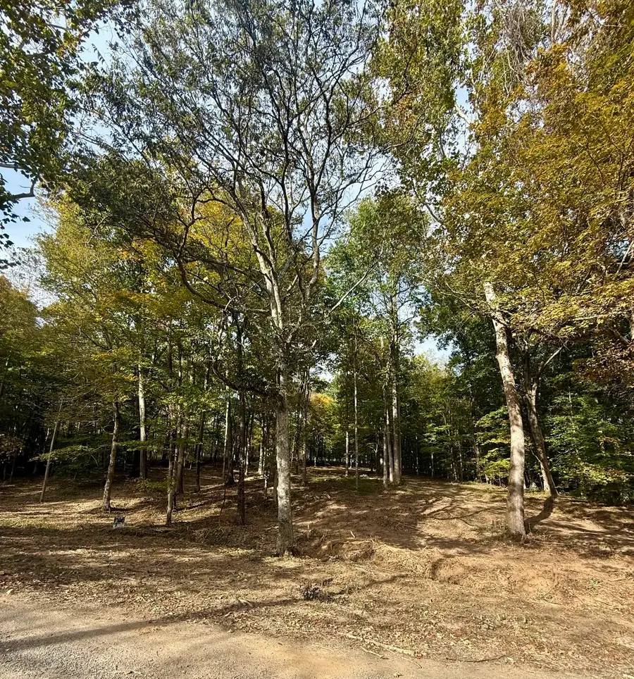 899 Little Leatherwood Rd, Vanleer, TN 37181 - Image #2