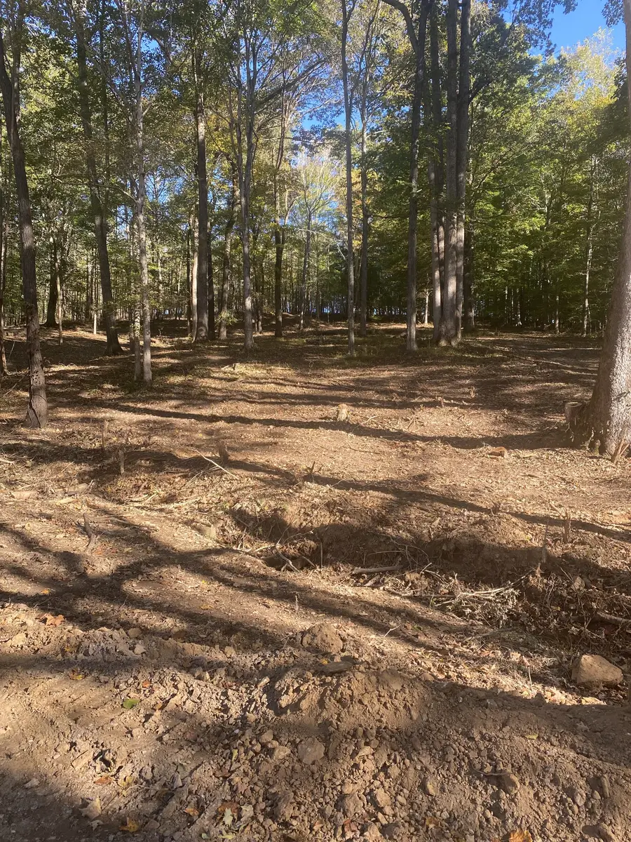 899 Little Leatherwood Rd, Vanleer, TN 37181 - Image #3