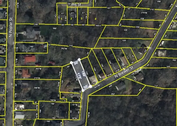 0 N Brewer Street, Paris, TN 38242