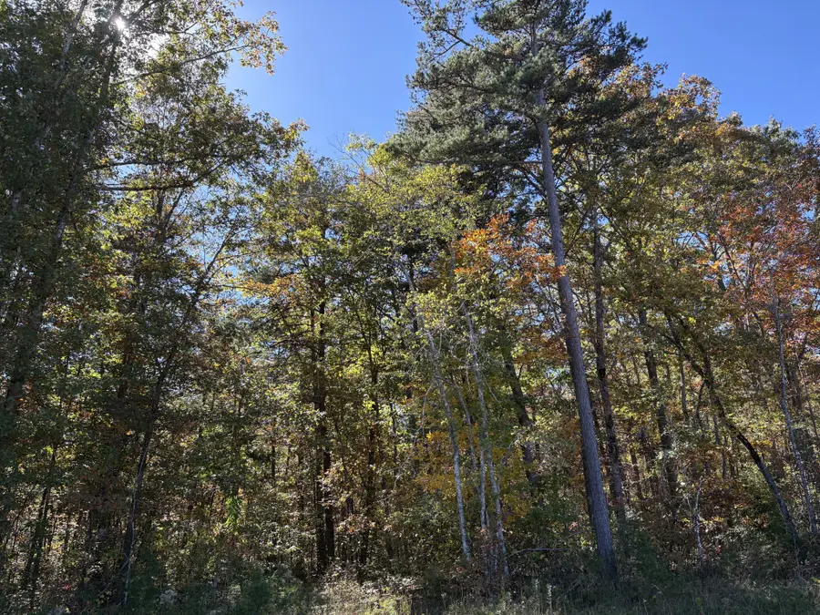 0 Colony Rd, Gruetli Laager, TN 37339 - Image #3