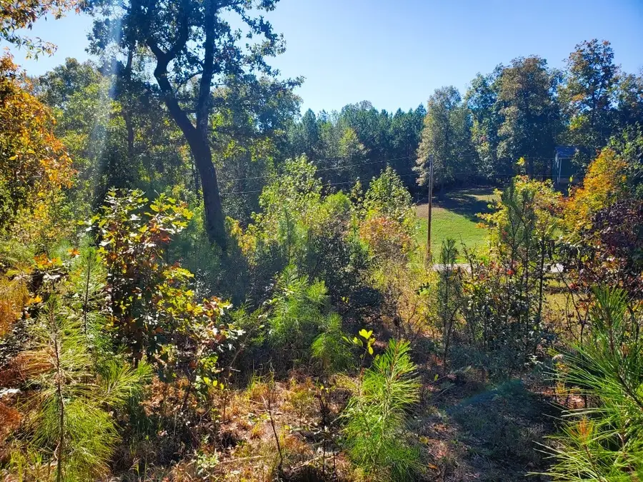 0 New Hope Rd, Big Sandy, TN 38221 - Image #3