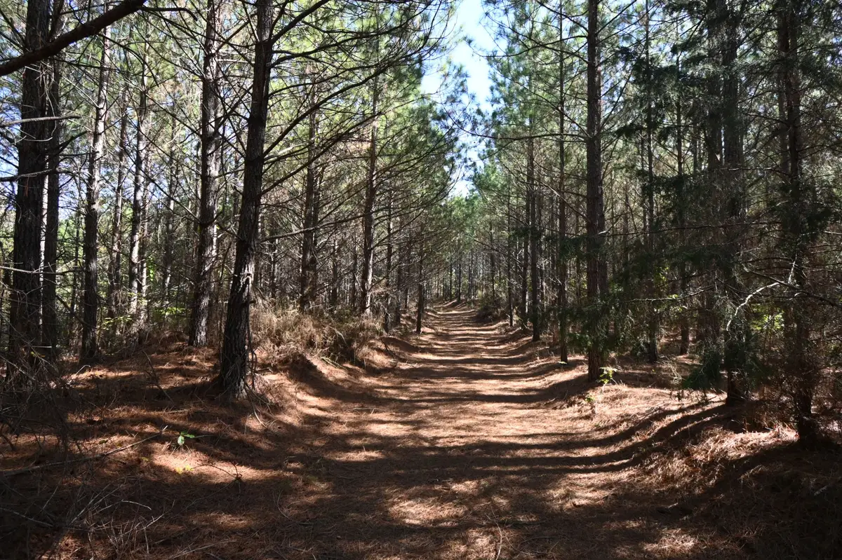 0 Owl Hollow Rd, Linden, TN 37096 - Image #1