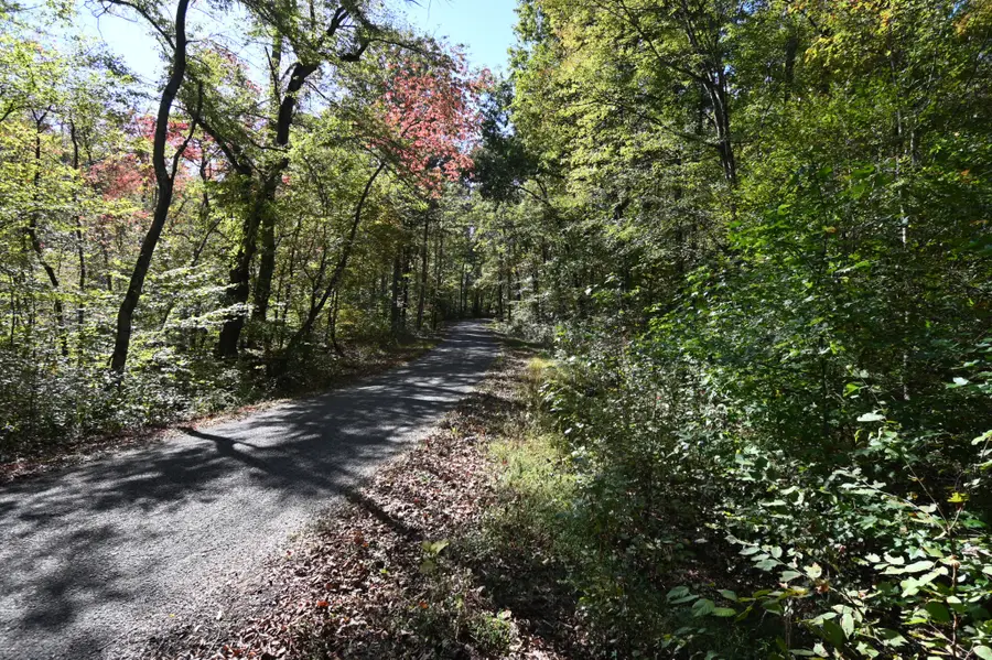 0 Owl Hollow Rd, Linden, TN 37096 - Image #3