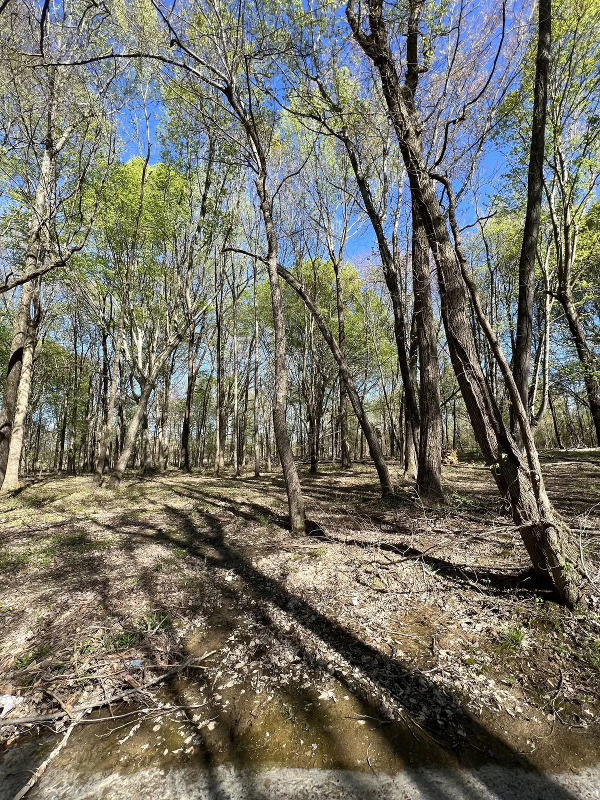 22 Highway 52e, Lafayette, TN 37083 - Image #1