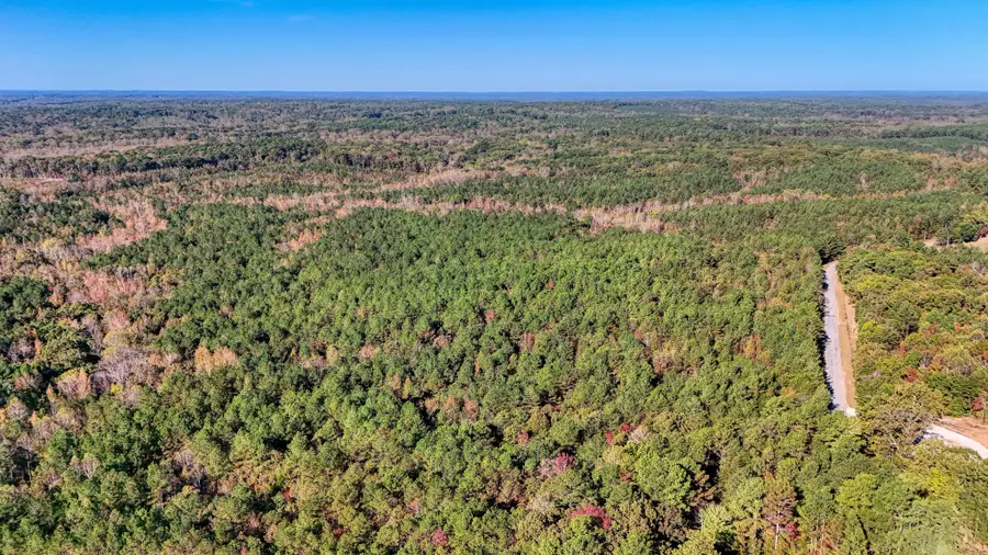 0 Cavia Rd, Westport, TN 38387 - Image #3