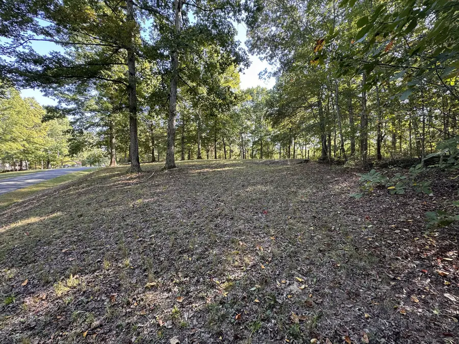 1060 Holcomb Cir, Kingston Springs, TN 37082 - Image #3