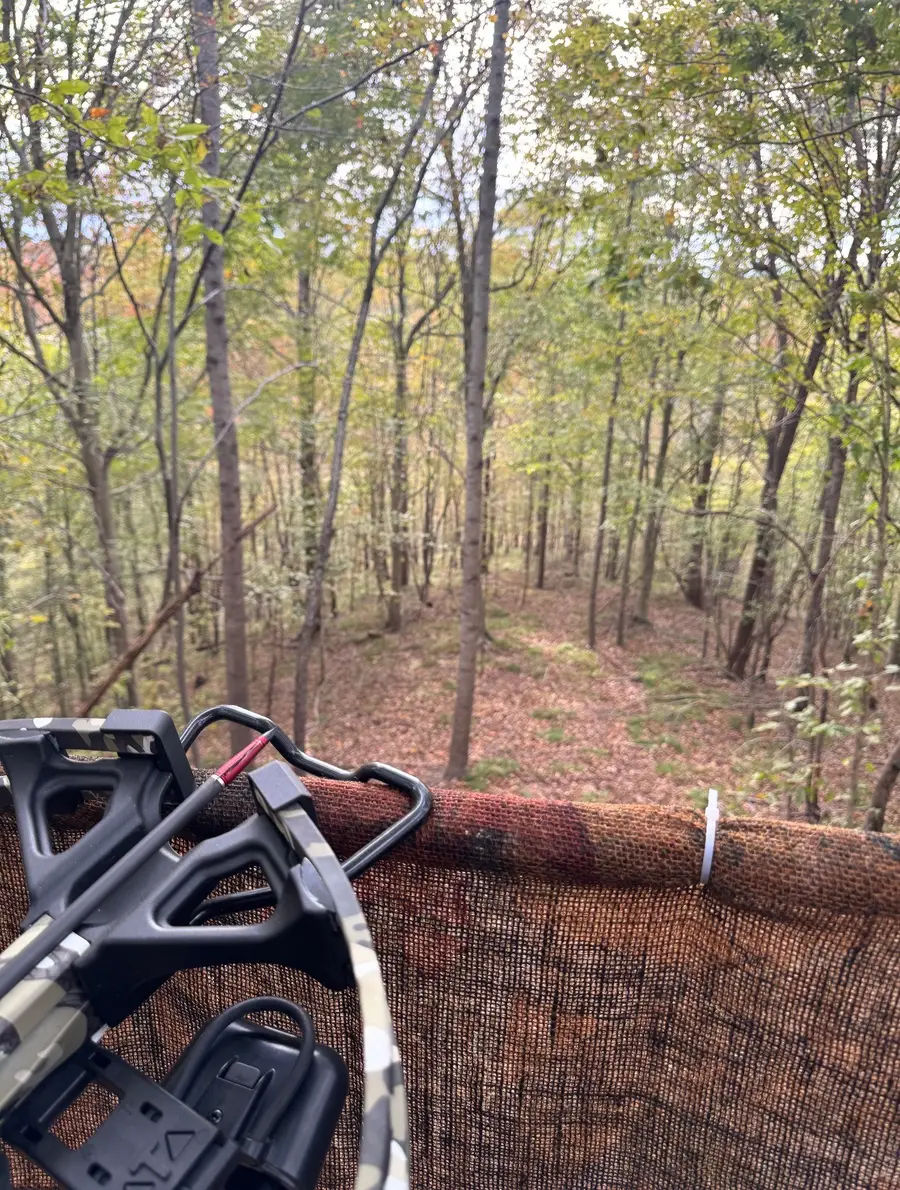 0 Downing Hollow Road, Waynesboro, TN 38485 - Image #3