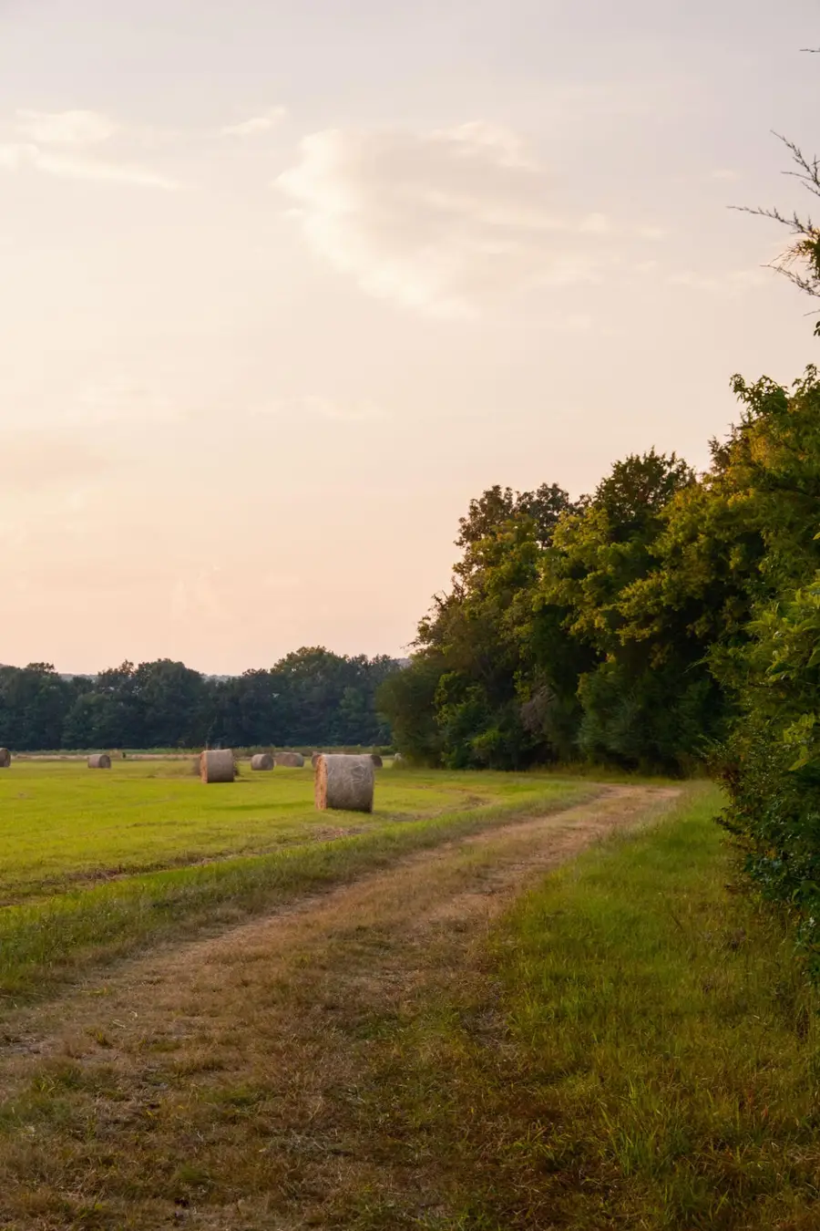 0 Gilliam Road, Gurley, AL 35748 - #2