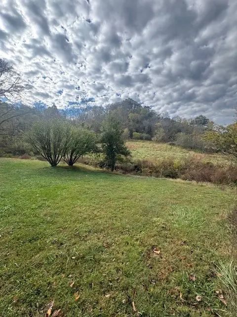 700 Ben Birdwell Ln, Bloomington Springs, TN 38545 - Image #3