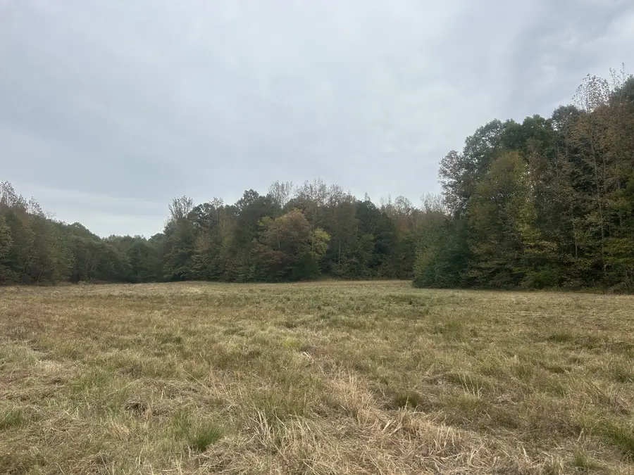 0 Clifford Hicks Rd, Camden, TN 38320 - Image #2