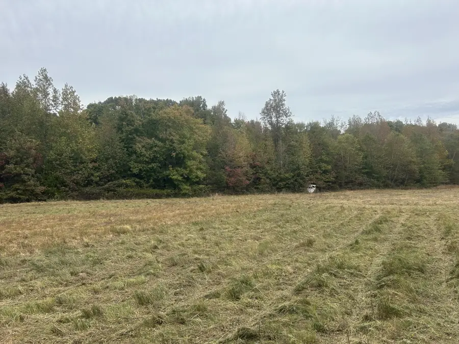 0 Clifford Hicks Rd, Camden, TN 38320 - Image #3