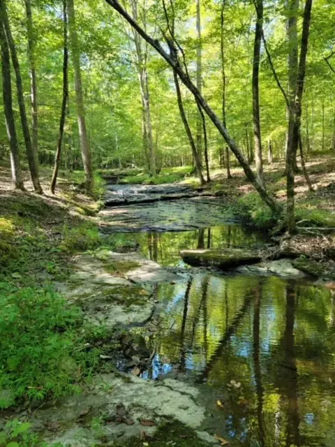 1075 Rose Hill Rd, Pulaski, TN 38478