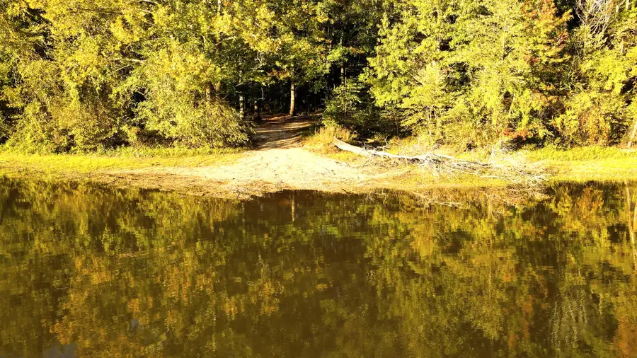 0 Davis N Lake Access Rd, Camden, TN 38320 - Image #3