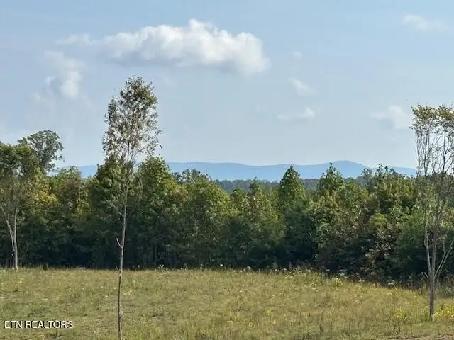 0 Otis Daivs Rd, Pikeville, TN 37367 - Image #2