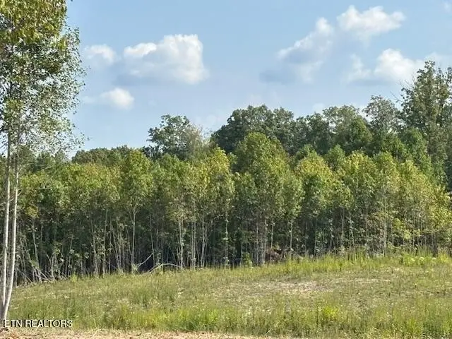 0 Otis Daivs Rd, Pikeville, TN 37367 - Image #3