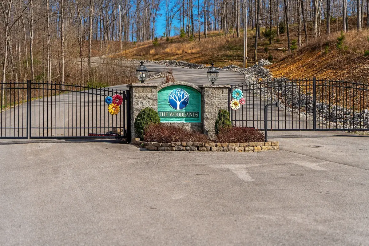 0 Ridgewood Rd, Mc Ewen, TN 37101 - Image #1