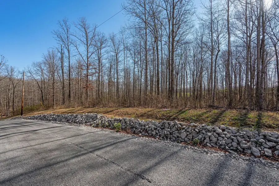 0 Ridgewood Rd, Mc Ewen, TN 37101 - Image #3