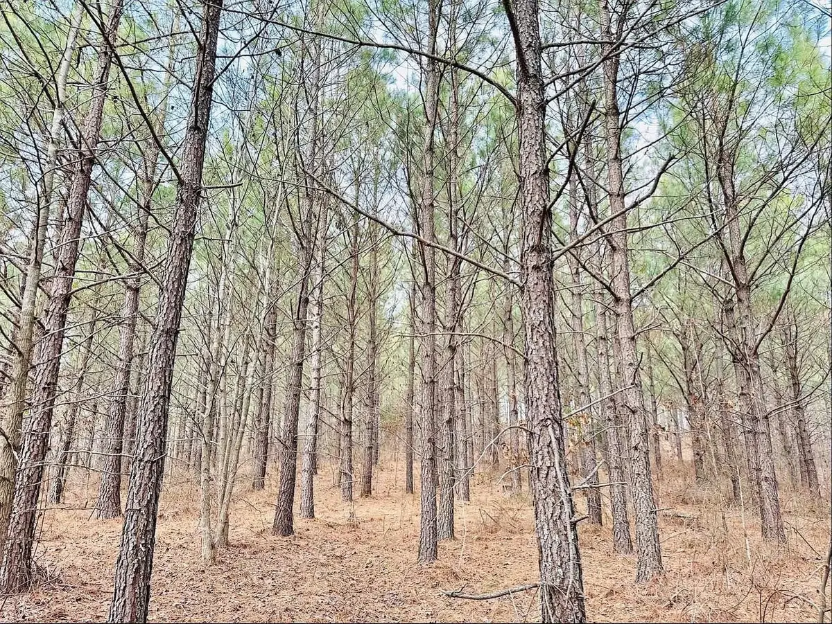 48 Ranches At Hickory Ridge, Dover, TN 37058 - Image #1