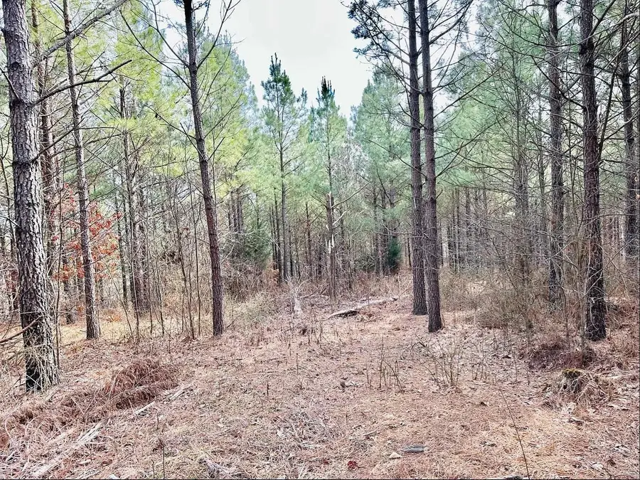 48 Ranches At Hickory Ridge, Dover, TN 37058 - Image #3