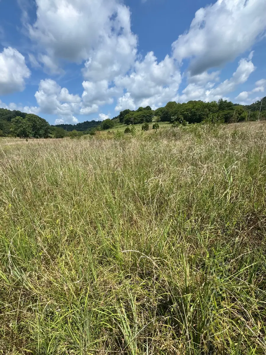 0 Duke Hollow Ln, Carthage, TN 37030 - Image #2