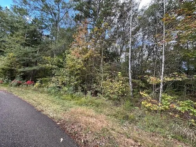 12 Breckenridge Ln, Savannah, TN 38372 - Image #3