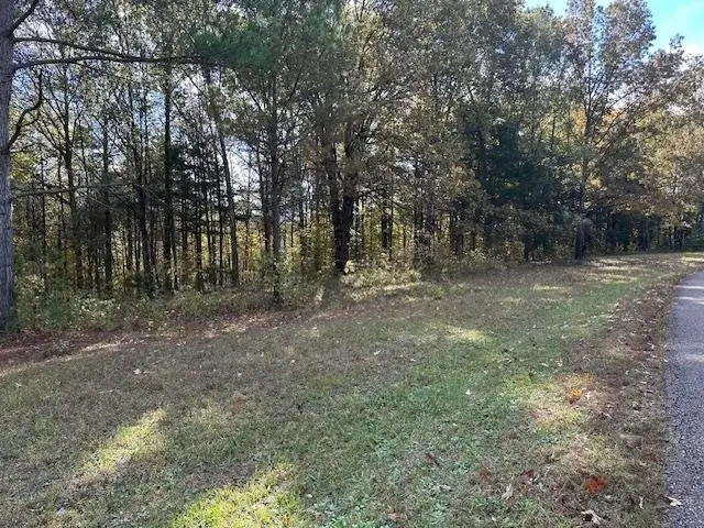 0 Raymond Mcanally Rd, Savannah, TN 38372 - Image #3