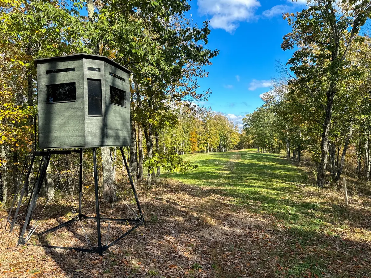 0 Ledbetter Hollow Rd, Linden, TN 37096 - Image #1