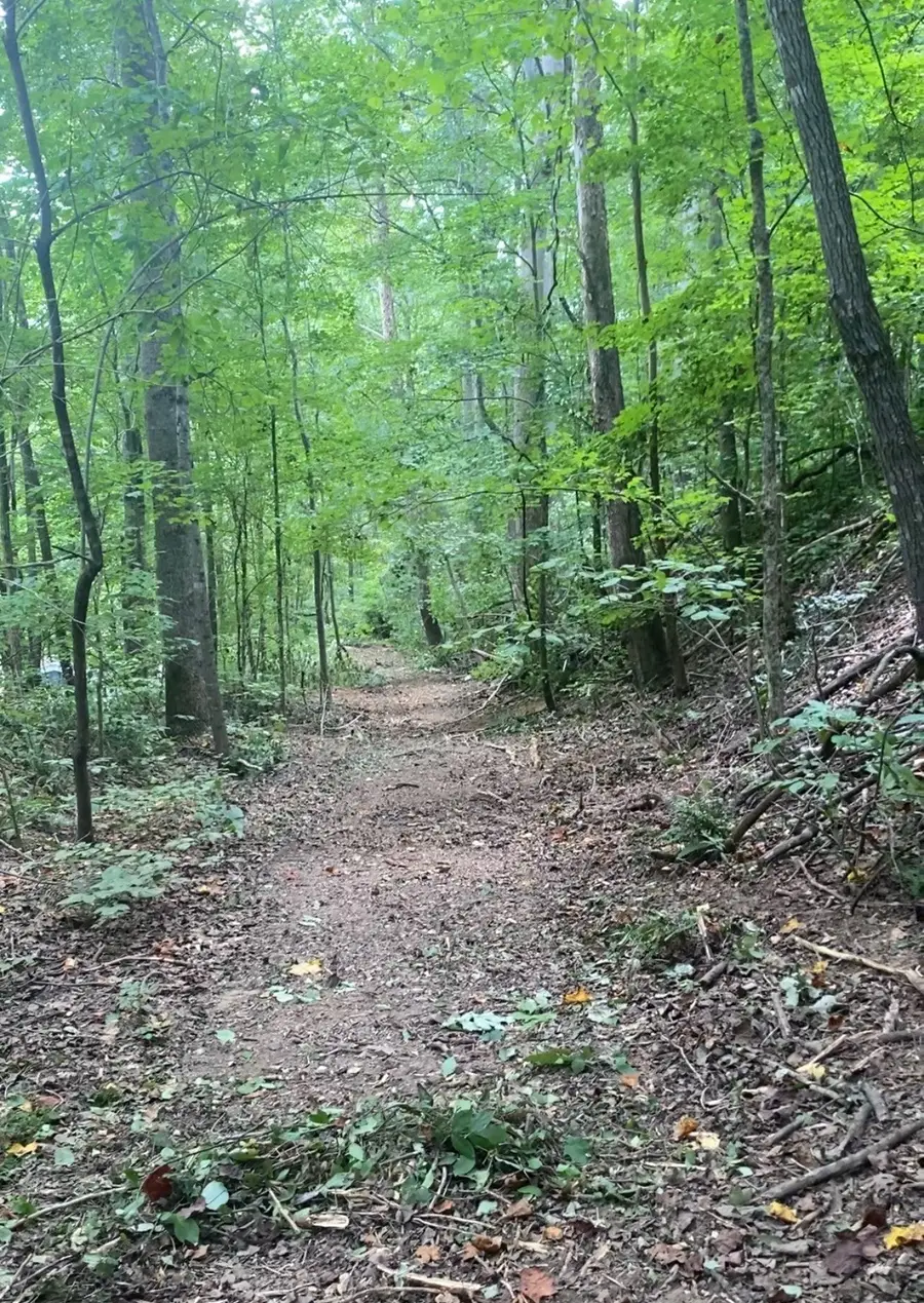 8552 Cub Creek Rd, Nashville, TN 37209 - Image #2