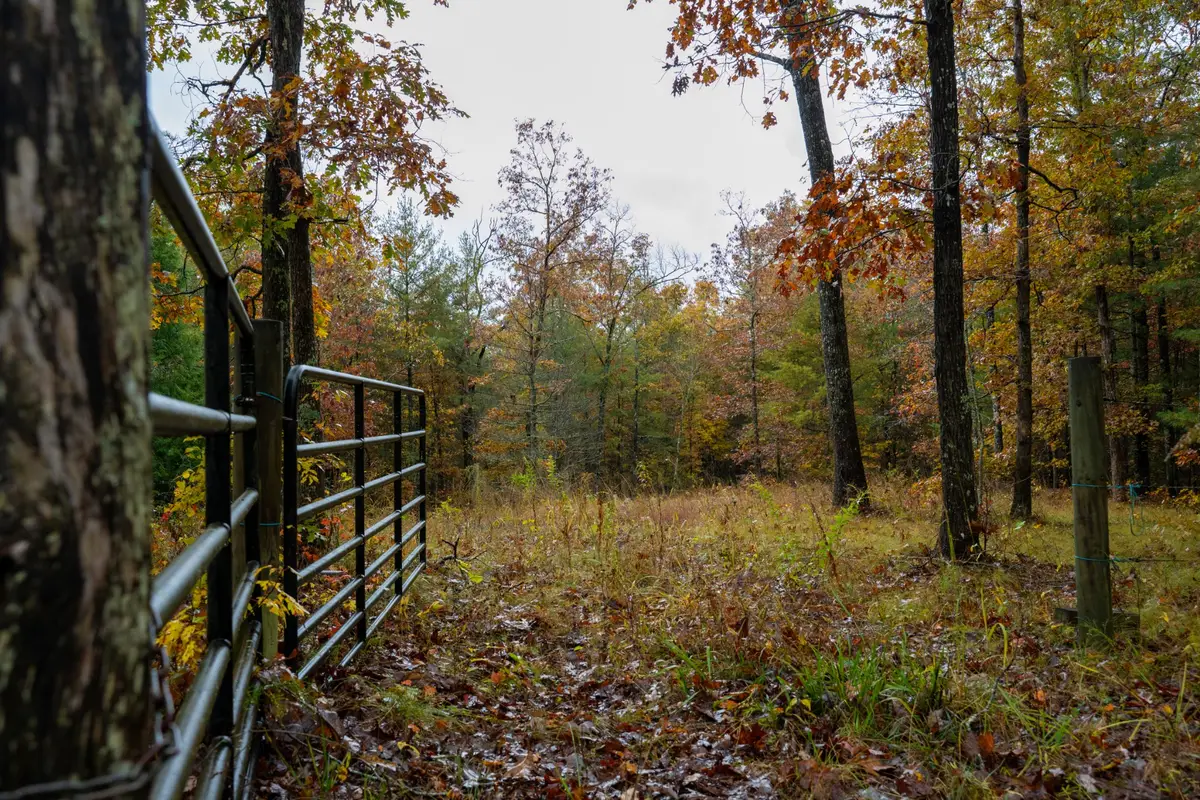 0 Trailhead Ln, Jamestown, TN 38556 - Image #1