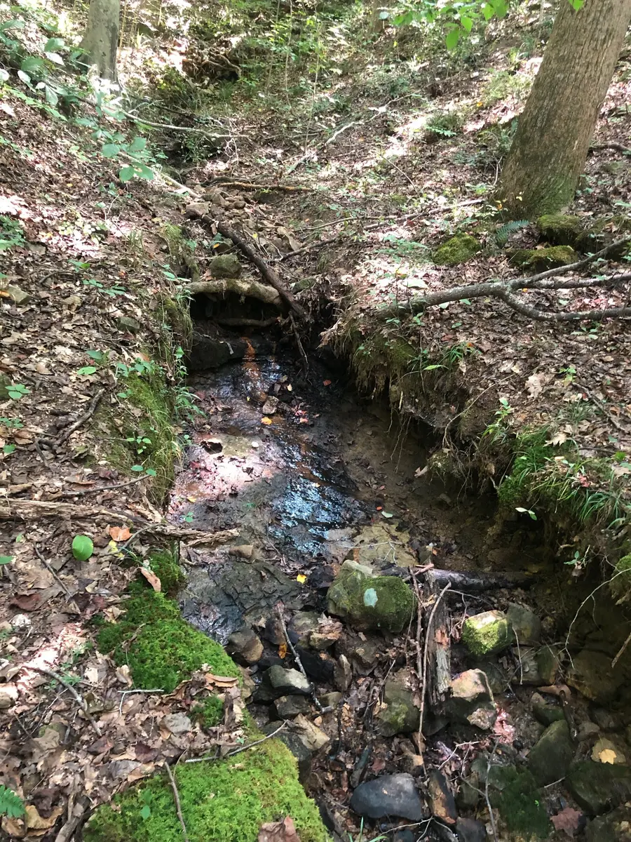 0 Jackson Cabin Road, Kingston Springs, TN 37082 - Image #3