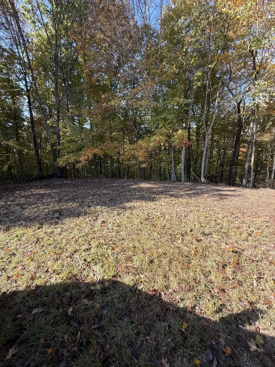 0 Collins Road, Allons, TN 38541 - Image #2