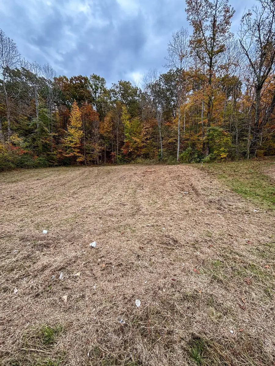 0 Centerville Hwy, Hohenwald, TN 38462 - Image #3