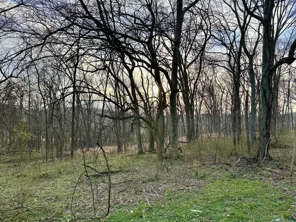 2980 Swindell Hollow Rd, Lebanon, TN 37087