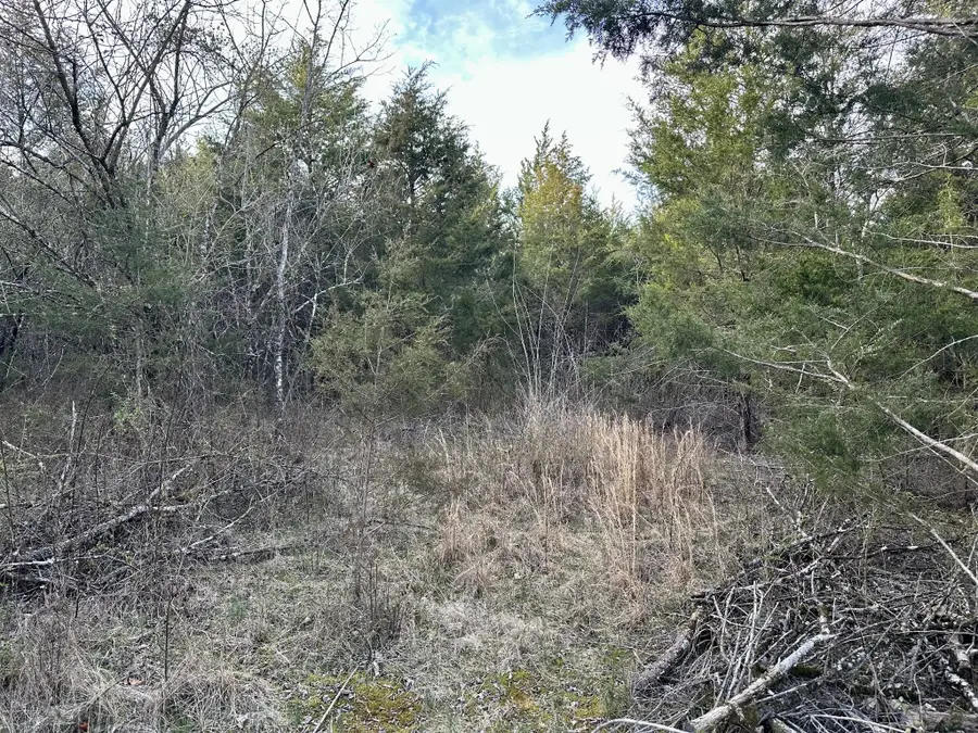 2980 Swindell Hollow Rd, Lebanon, TN 37087 - Image #2