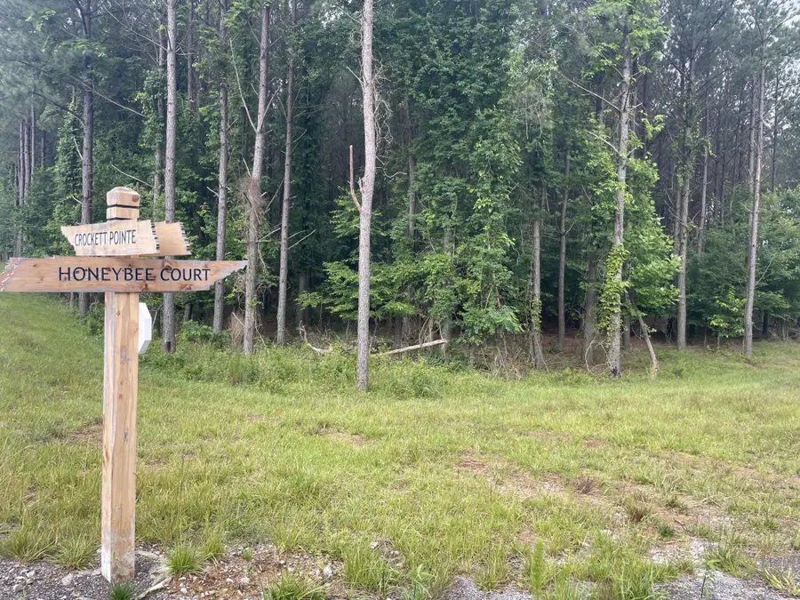 135 Honeybee Court, Jasper, TN 37347 - #2